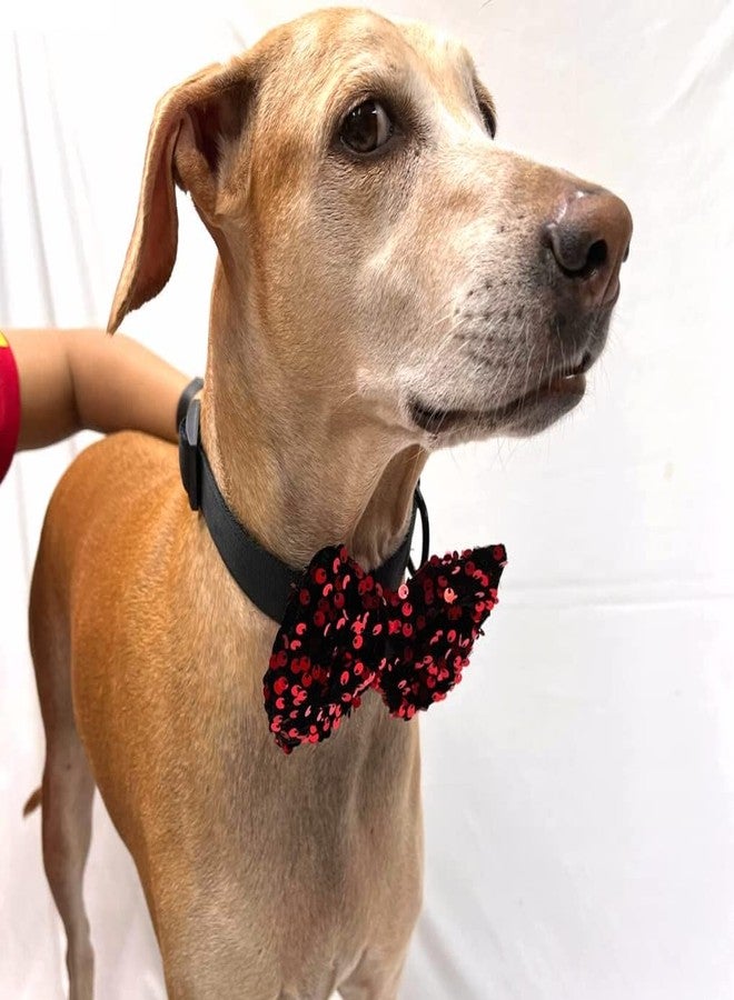 A+A Pets' Sequins Collar & Bow Tie Set for Dogs and Cats (S/M, Red (Set of 2)) - Image 3
